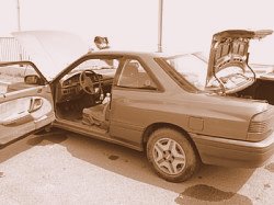 ���E������s�{�u�Y����v�w���������E���s�u�b�N�`���E���R�{�y���ނ��߂ɕK�v�ȏ����ƍs���`�v