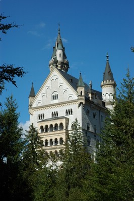 �m�C�V�����@���V���^�C����@���}���`�b�N�X��