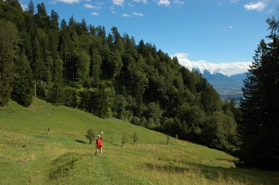 �A���v�X�̏����@�n�C�W�@�}�C�G���t�F���g