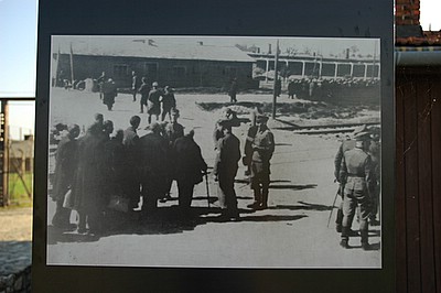 �A�E�V�����B�b�c�@�������e��