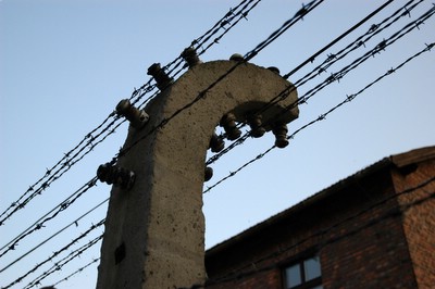 �A�E�V�����B�b�c�@�������e��