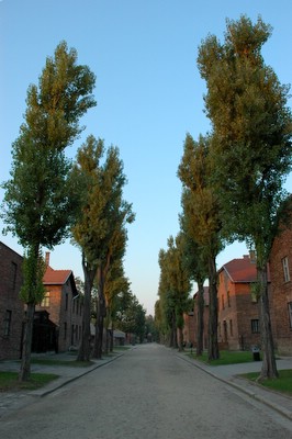 �A�E�V�����B�b�c�@�������e��