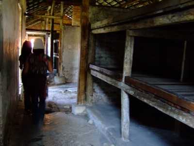 �A�E�V�����B�b�c�@�������e��