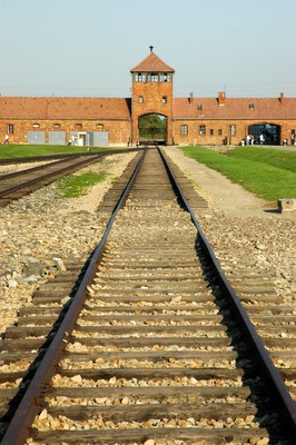 �A�E�V�����B�b�c�@�������e��