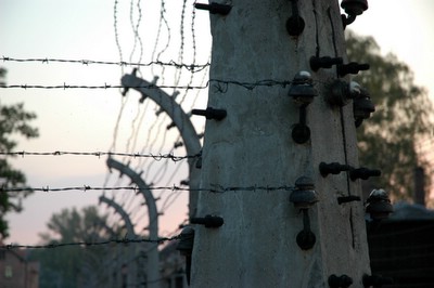 �A�E�V�����B�b�c�@�������e��