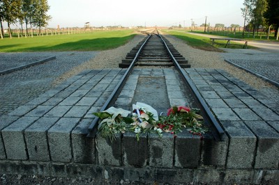 �A�E�V�����B�b�c�@�������e��