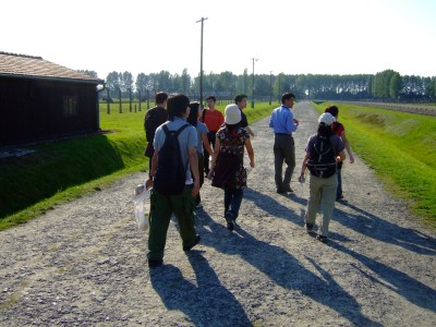 �A�E�V�����B�b�c�@�������e��