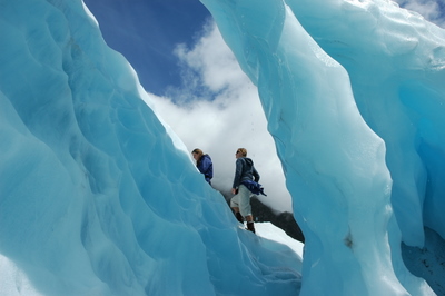 ニュージーランド フランツ・ジョセフ氷河