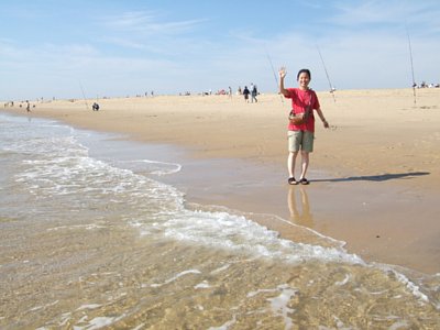 �k�[�f�B�X�g�r�[�` �摜