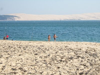 �k�[�f�B�X�g�r�[�` �摜