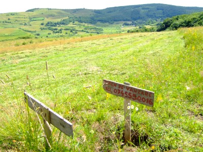 ���[�}�j�A�@�s���Y����