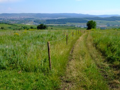 ���[�}�j�A �y�n �s���Y����