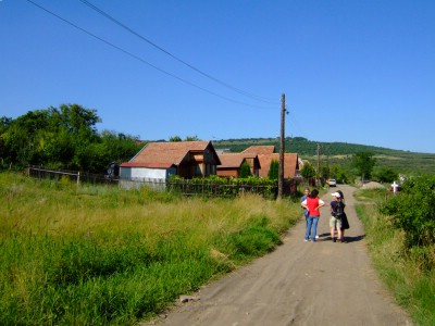 ���[�}�j�A�s���Y����