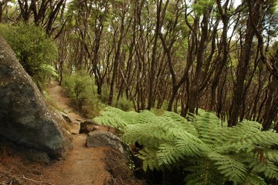 �G�C�x���^�Y�}���������� �j���[�W�[�����h