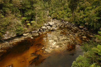 エイベルタズマン国立公園 ニュージーランド