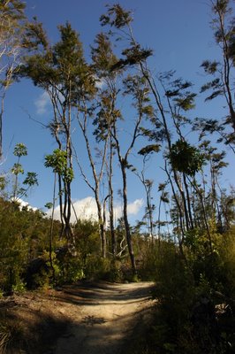 �G�C�x���^�Y�}���������� �j���[�W�[�����h