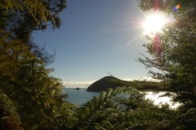 �G�C�x���^�Y�}���������� �j���[�W�[�����h